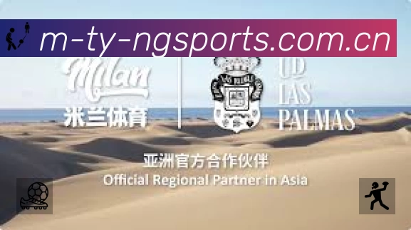 安全使用与支持流程